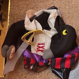 Dog Pirate Halloween Costume
